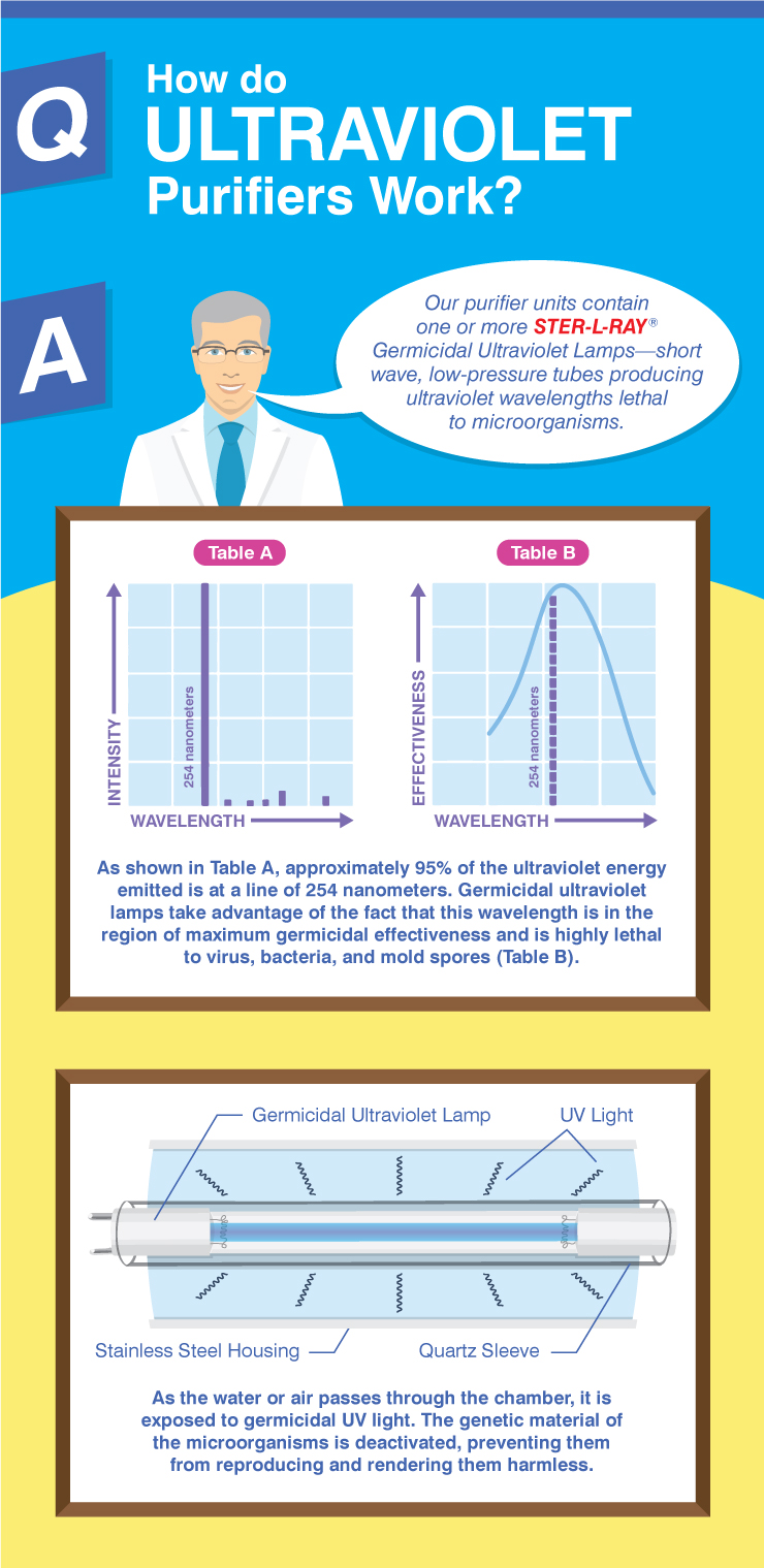 An infographic describing how ultraviolet purifiers work