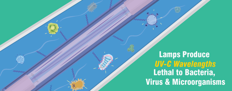 Lamp Produce UV-C Wavelengths Lethal to Bacteria, Virus & Microorganisms
