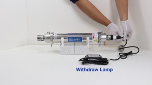 Withdraw Lamp From Biologic