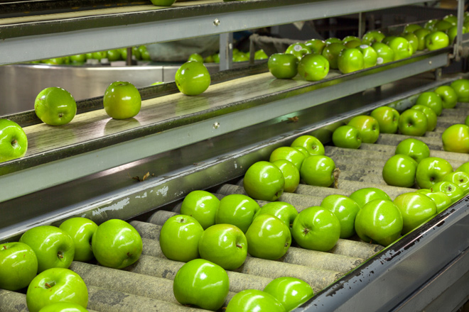 Ultraviolet Water Purification Apples
