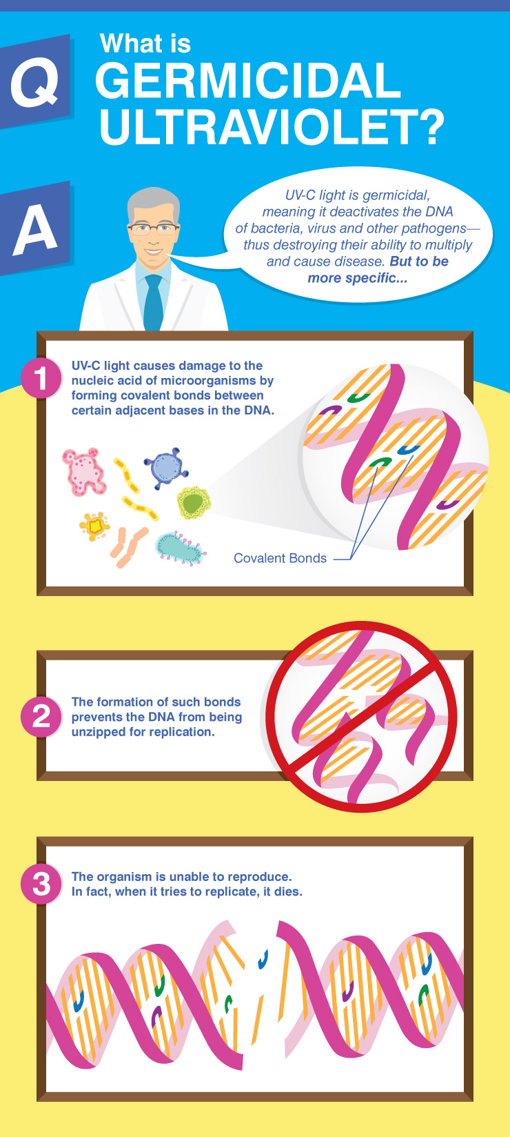 What is Germicidal Ultraviolet Infographic