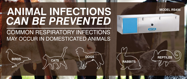 Animal infections can be prevented