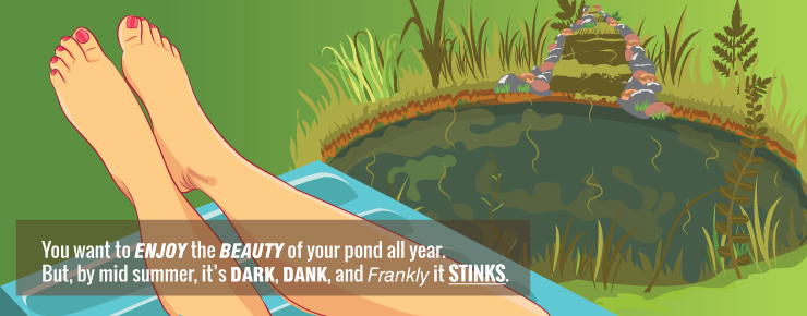 stinky pond