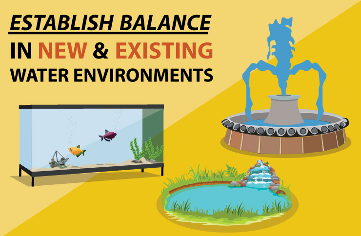Establish Balance in New & Existing Water Environments