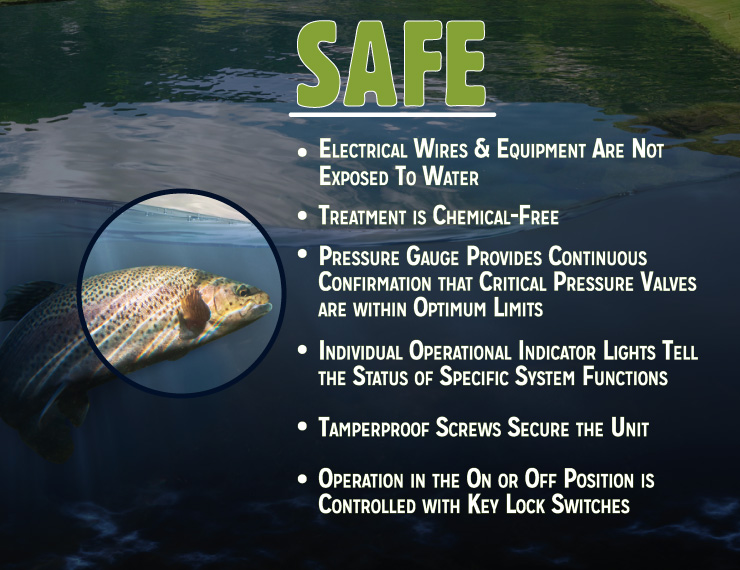 Safe - Electrical Wires & Equipment are not exposed to water