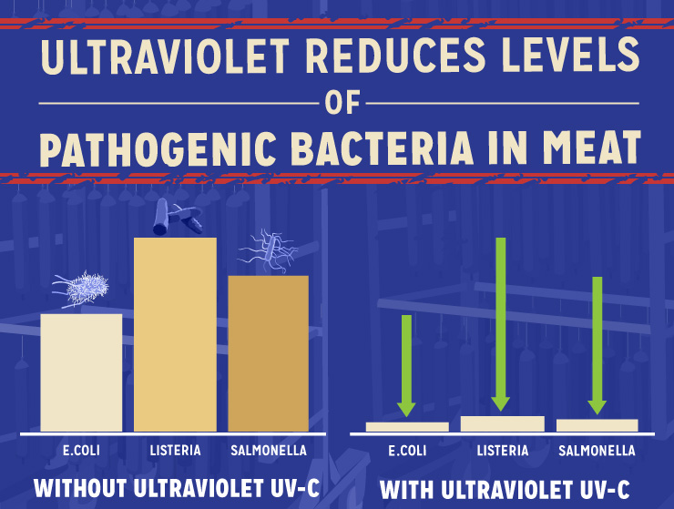 Ultraviolet Reduces Levels of Pathogenic Bacteria in Meat