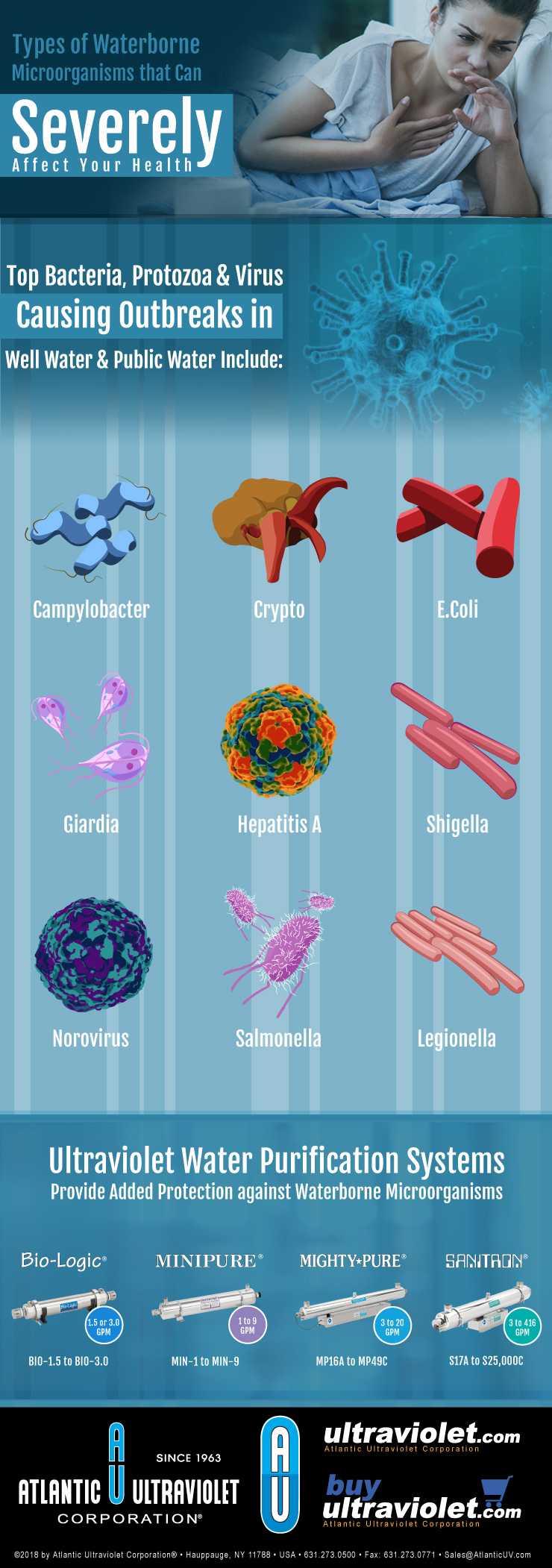 Types of Waterborne Microorganisms Infographic