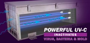 Powerful UV-C Inactivates Virus, Bacteria & Mold