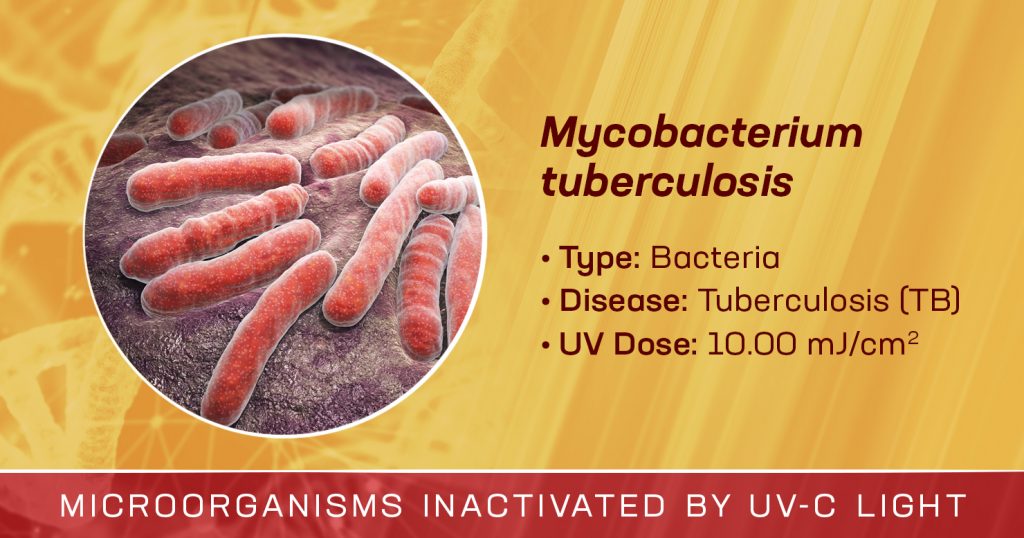 Mycobacterium Tuberculosis is Inactivated by UV-C Light