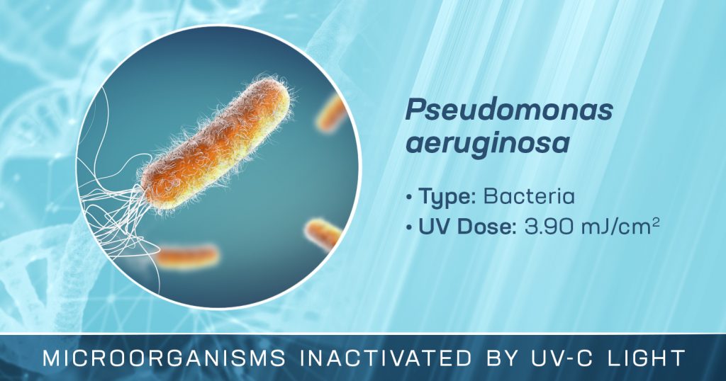 Pseudomonas Aeruginosa is Inactivated by UV-C Light