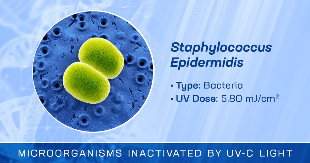 Staphylococcus Epidermidis is Inactivated by UV-C Light