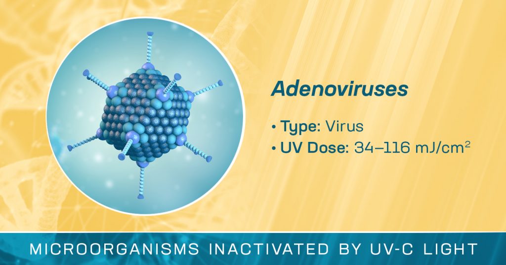 Adenoviruses are Inactivated by UV-C Light