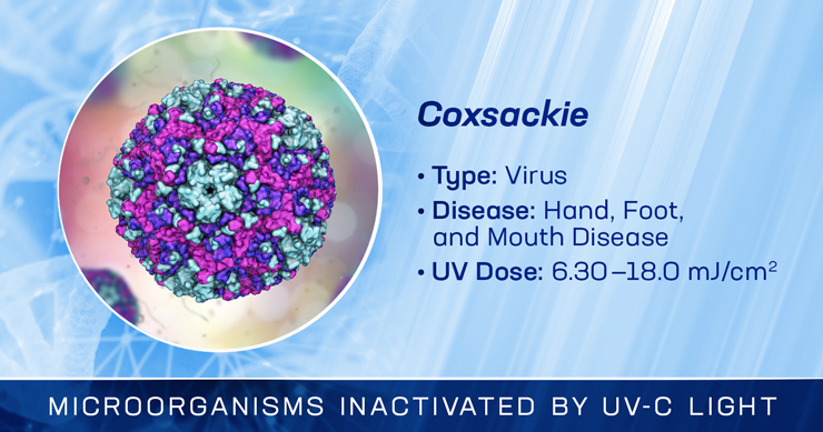 Coxsackie is Inactivated by UV-C Light
