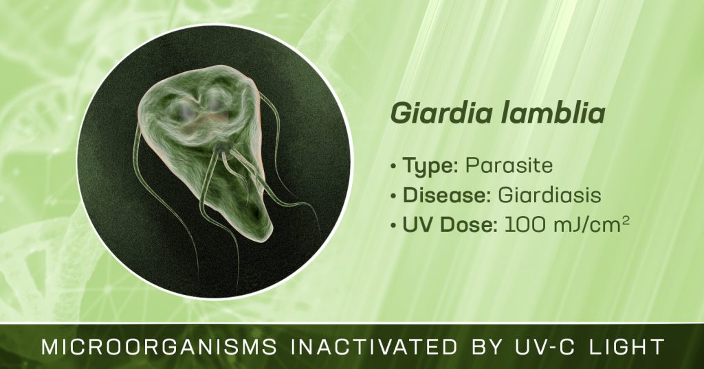 Giardia lamblia is Inactivated by UV-C Light