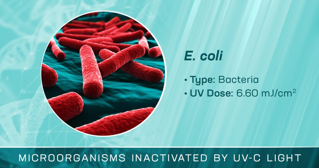 E. coli is Inactivated by UV-C Light