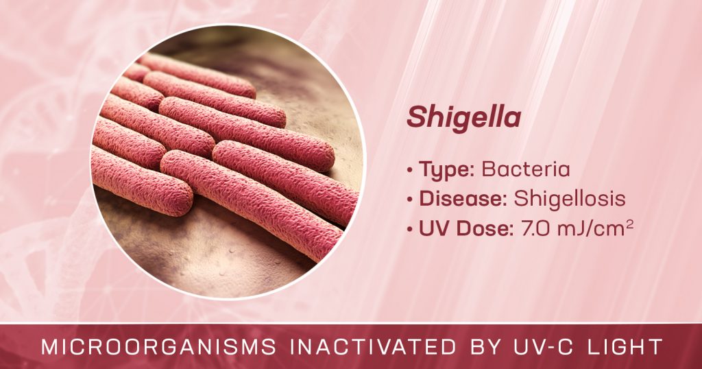 Shigella is Inactivated by UV-C Light