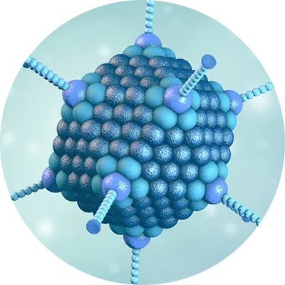 Adenovirus