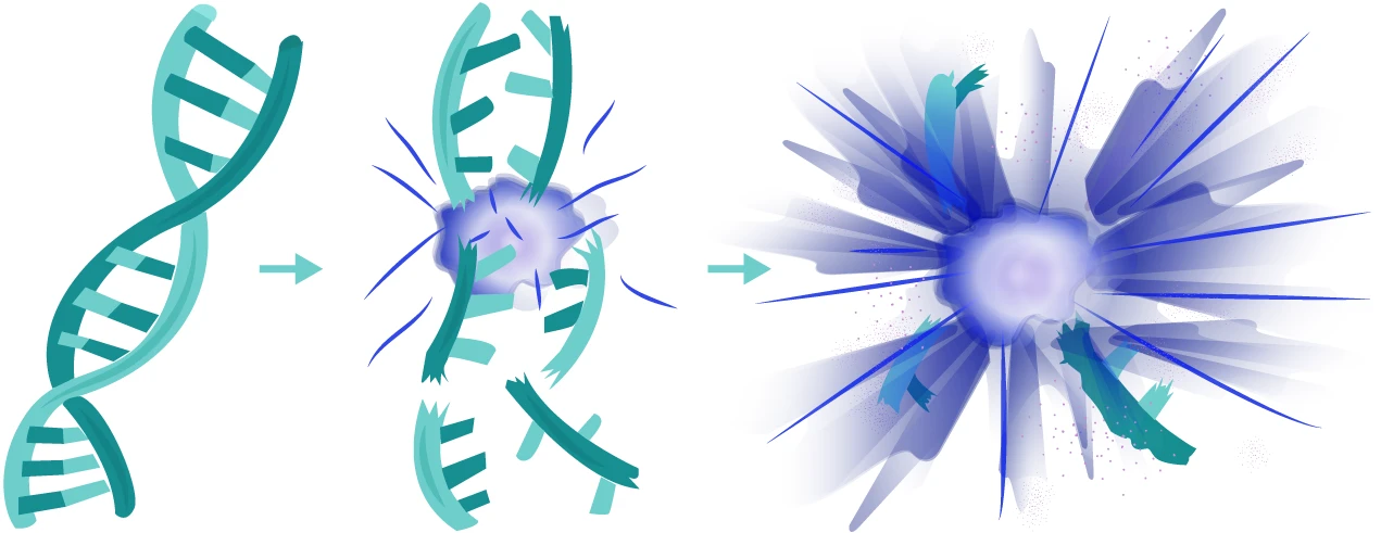 DNA exploding