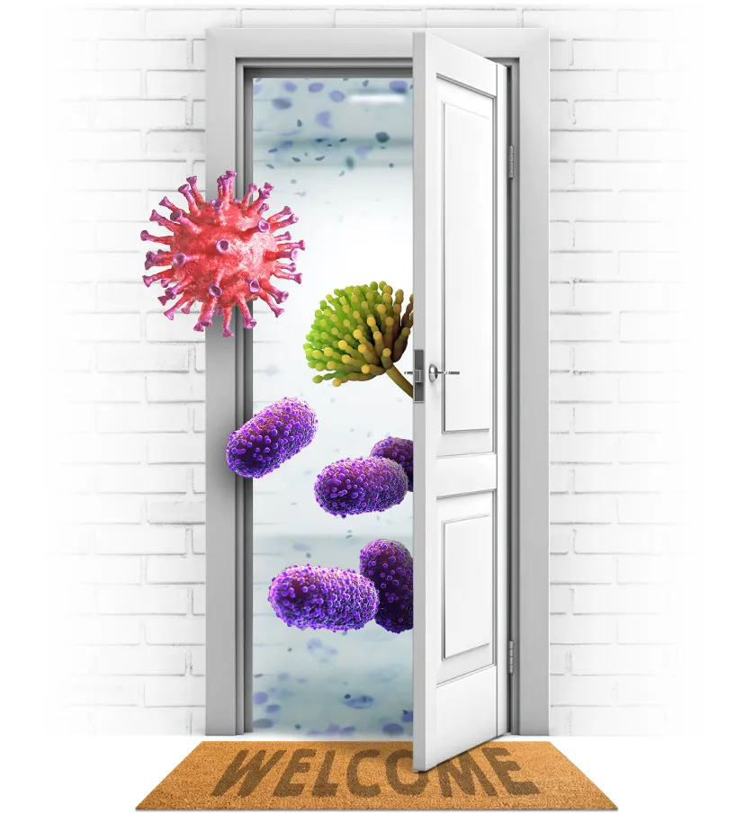 Germs coming from inside door