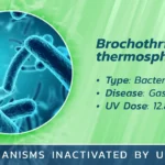 Bronchothrix thermosphacta with type of microbe, diseases, and UV dose