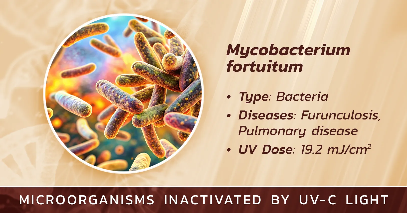 Mycobacterium fortuitum is Inactivated by Germicidal UV Light