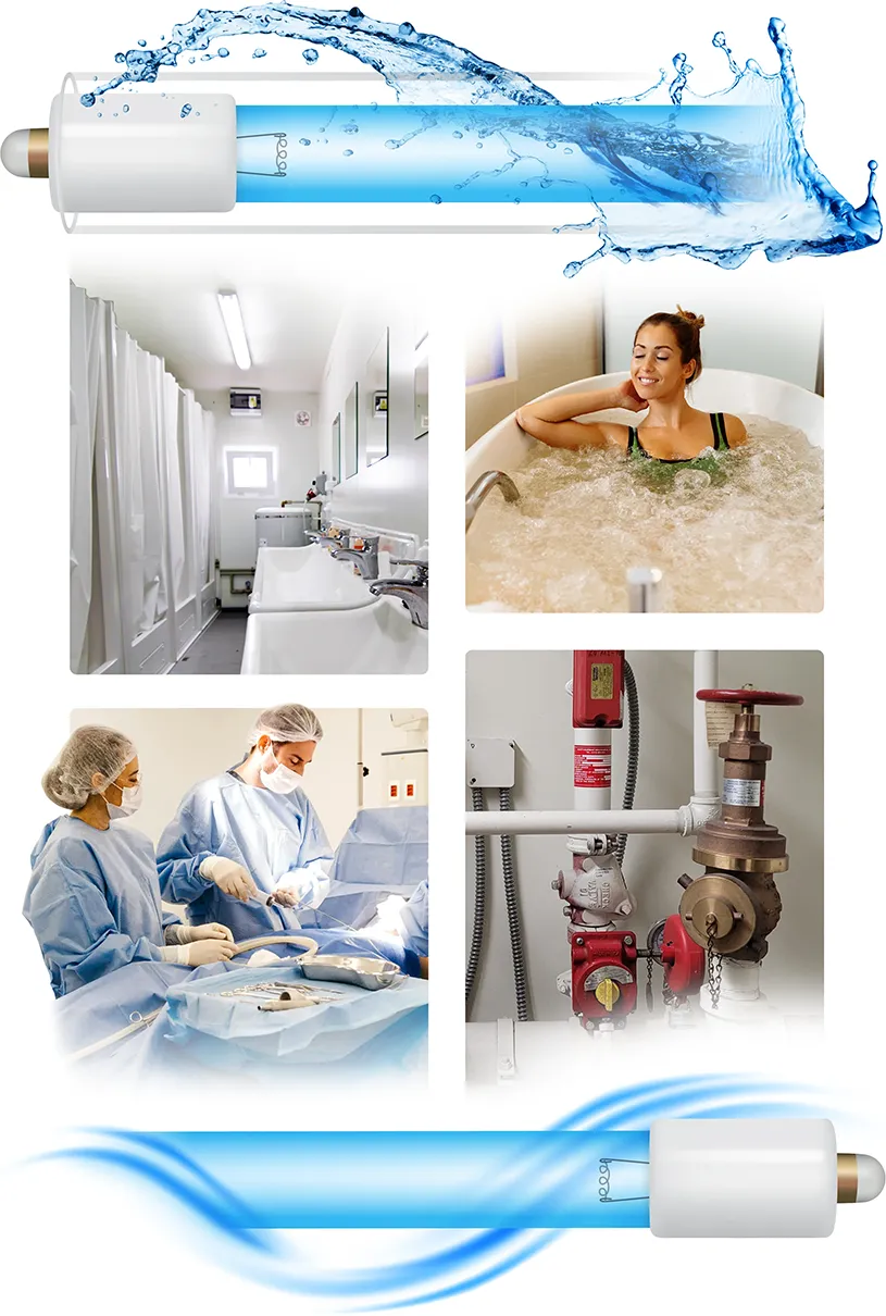 Mycobacterium fortuitum UV applications