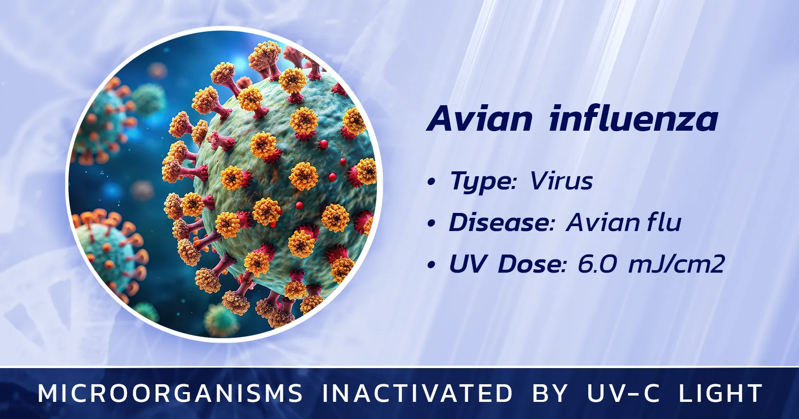 Avian influenza is Inactivated by Germicidal UV Light