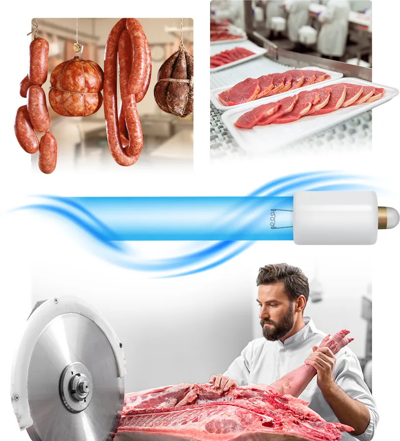 Meat processing applications with risk of Trichinella