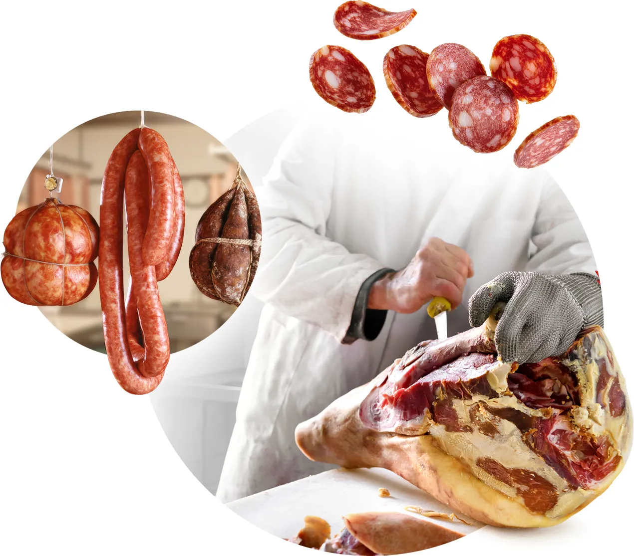 Fermented, cured, and dried meat in a processing facility