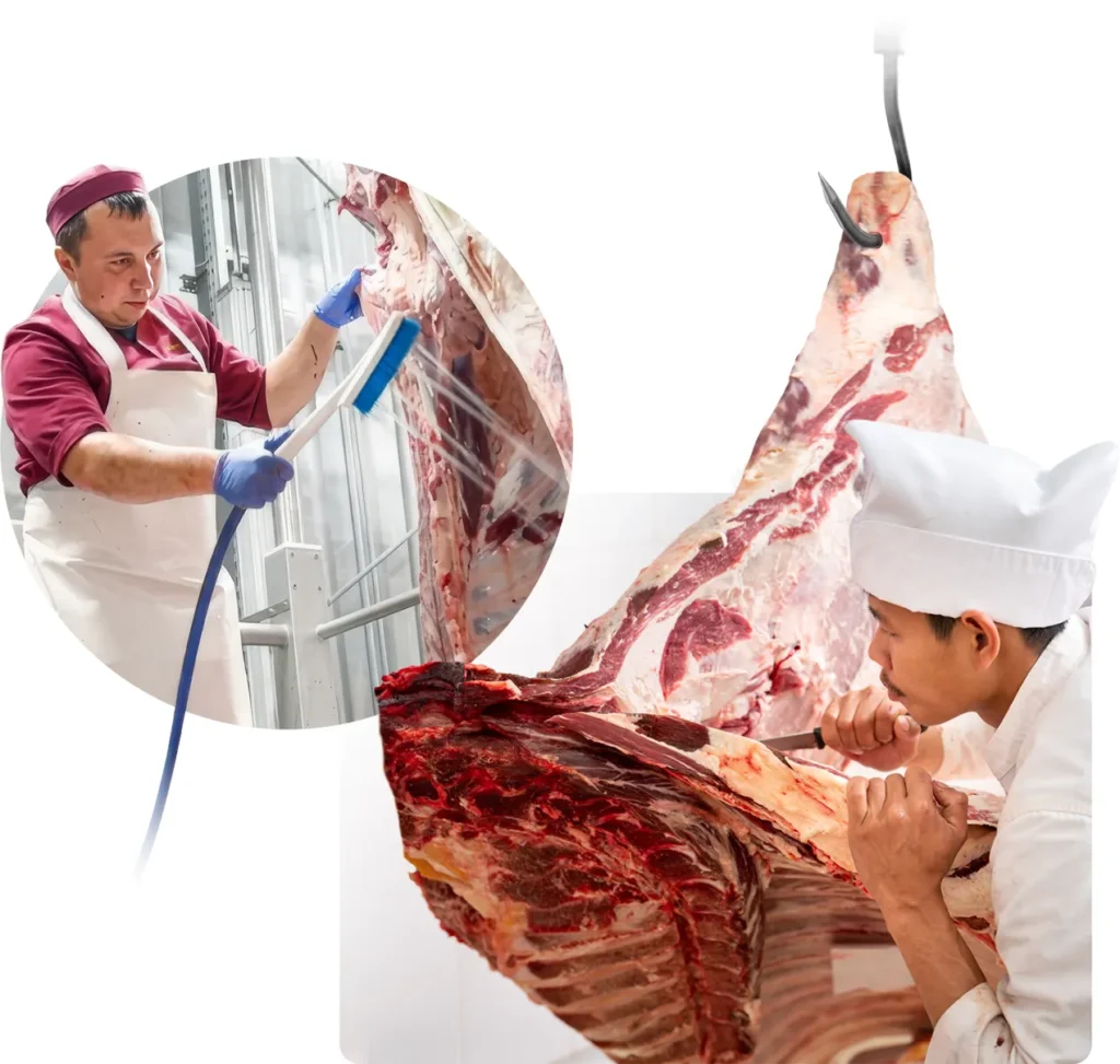 Meat workers trimming and washing carcasses
