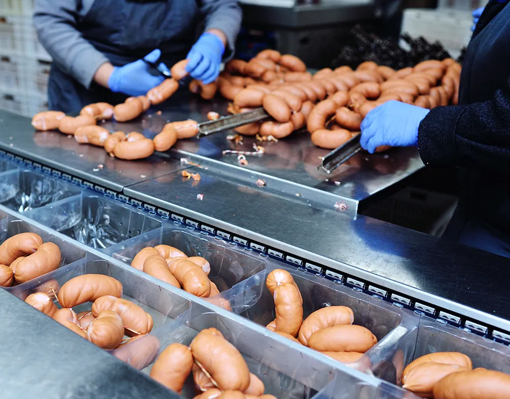 Sausage packing in meat processing ready-to-eat area